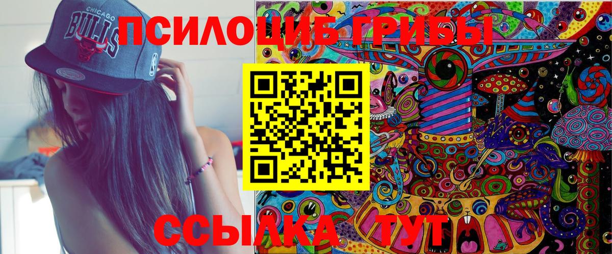 Псилоцибиновые грибы мицелий Серов