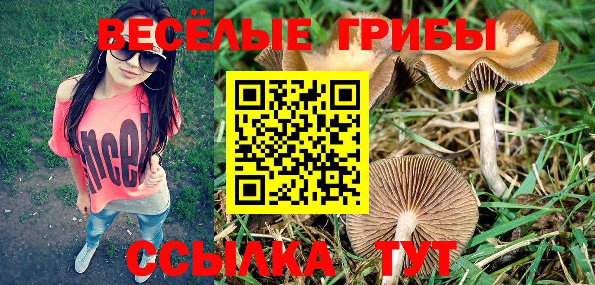 Серов  Галлюциногенные грибы Magic Shrooms  Вход с VPN 